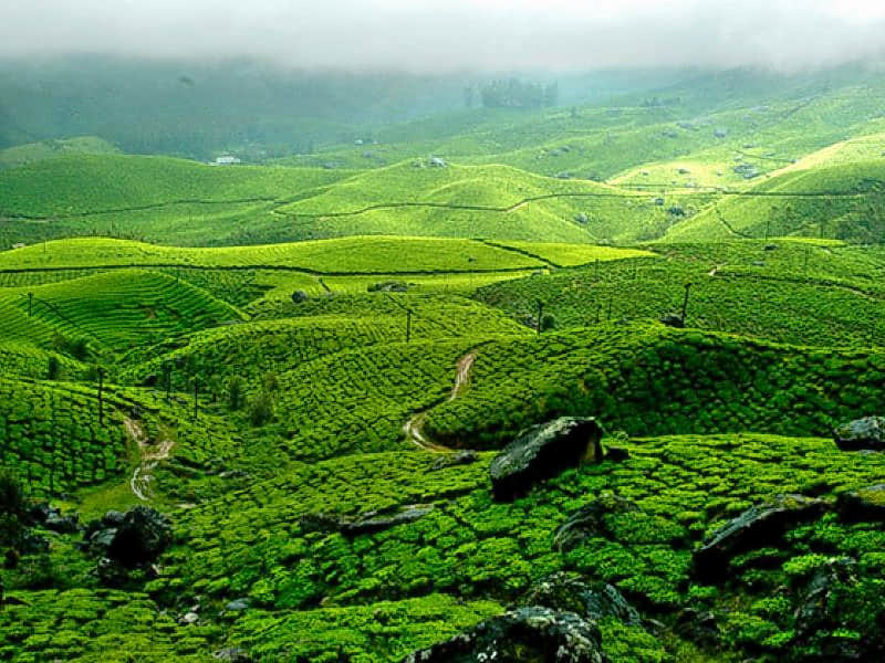 Painavu, <em>Idukki</em>