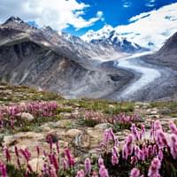 overland--journey-to-ladakh-seat-in-car