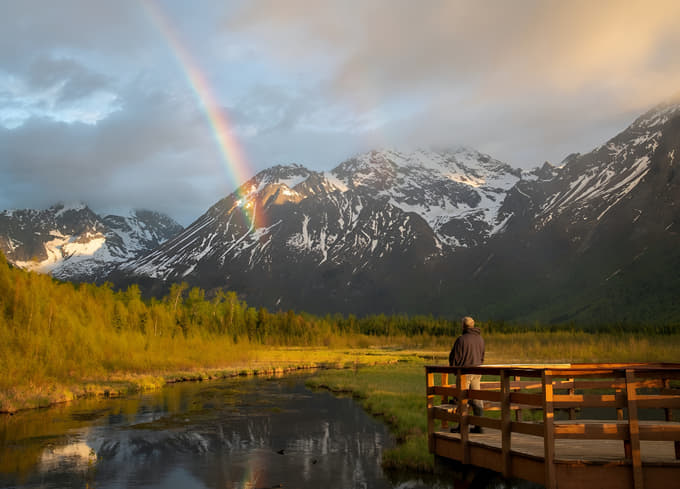 Wilderness, Wildlife & Glacier Experience from Anchorage