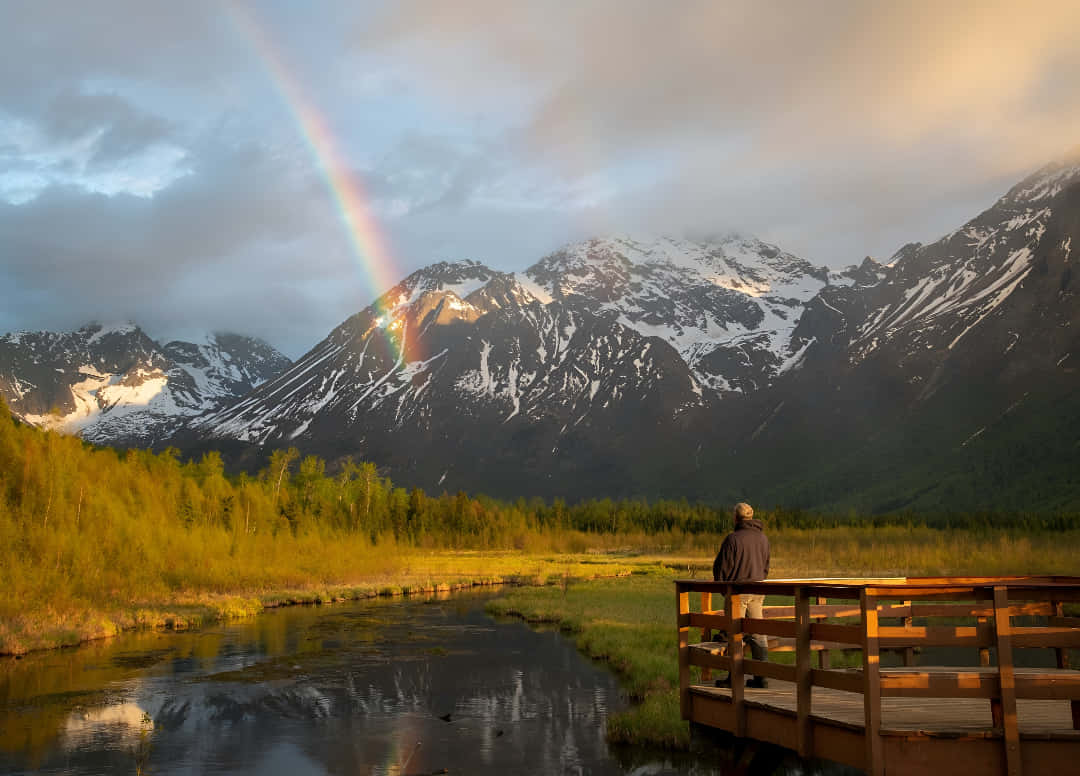 Wilderness, Wildlife & Glacier Experience from Anchorage