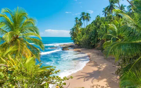 <em>Costa Rica</em> Tour Packages From Vijayawada 