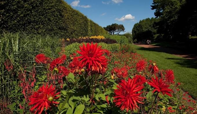 Summer Royal Botanic Garden Edinburgh