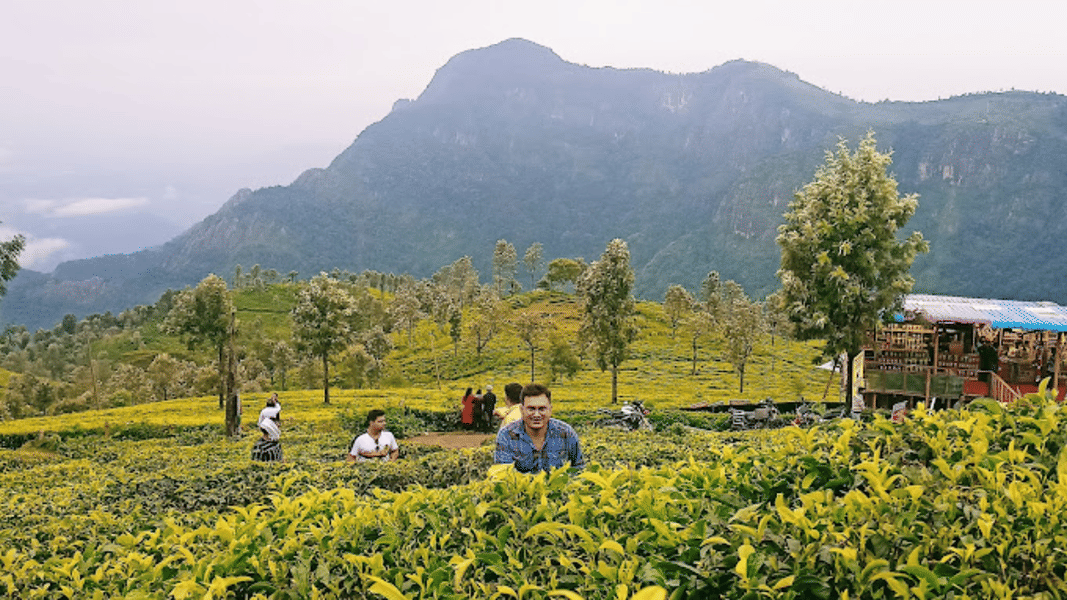 Coonoor Sightseeing Package​ Image