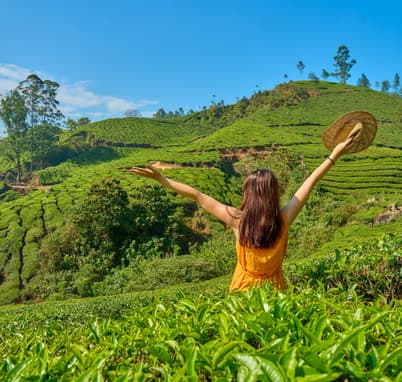 Tourist admiring views of Munnar tea plantations