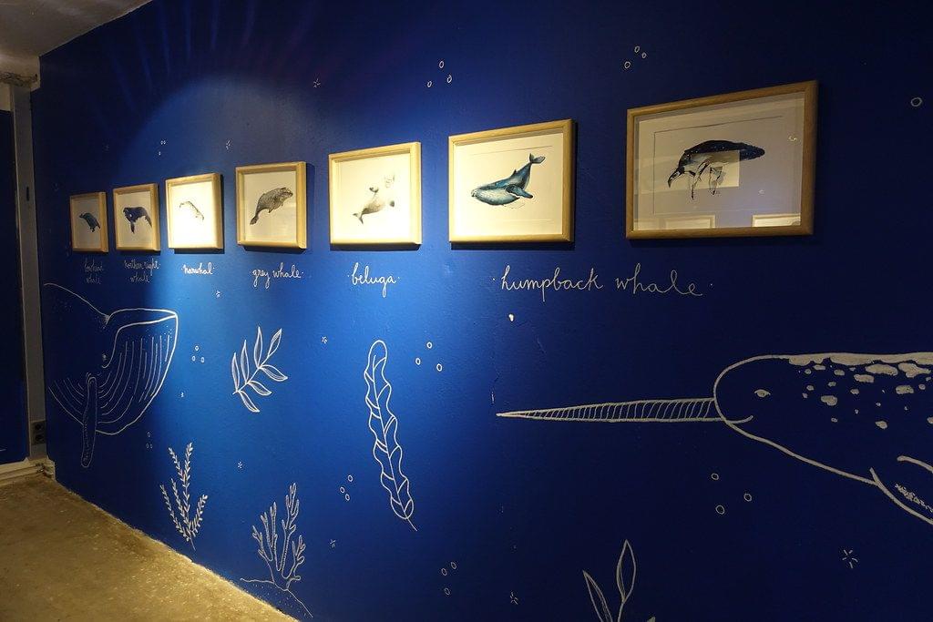 Whale Museum Reykjavik 2.jpg