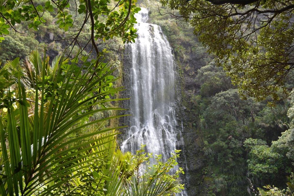 Piha and Karekare Rainforest Wine