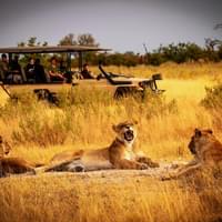 best-of-kenya-with-maasai-mara-serengeti-national-park