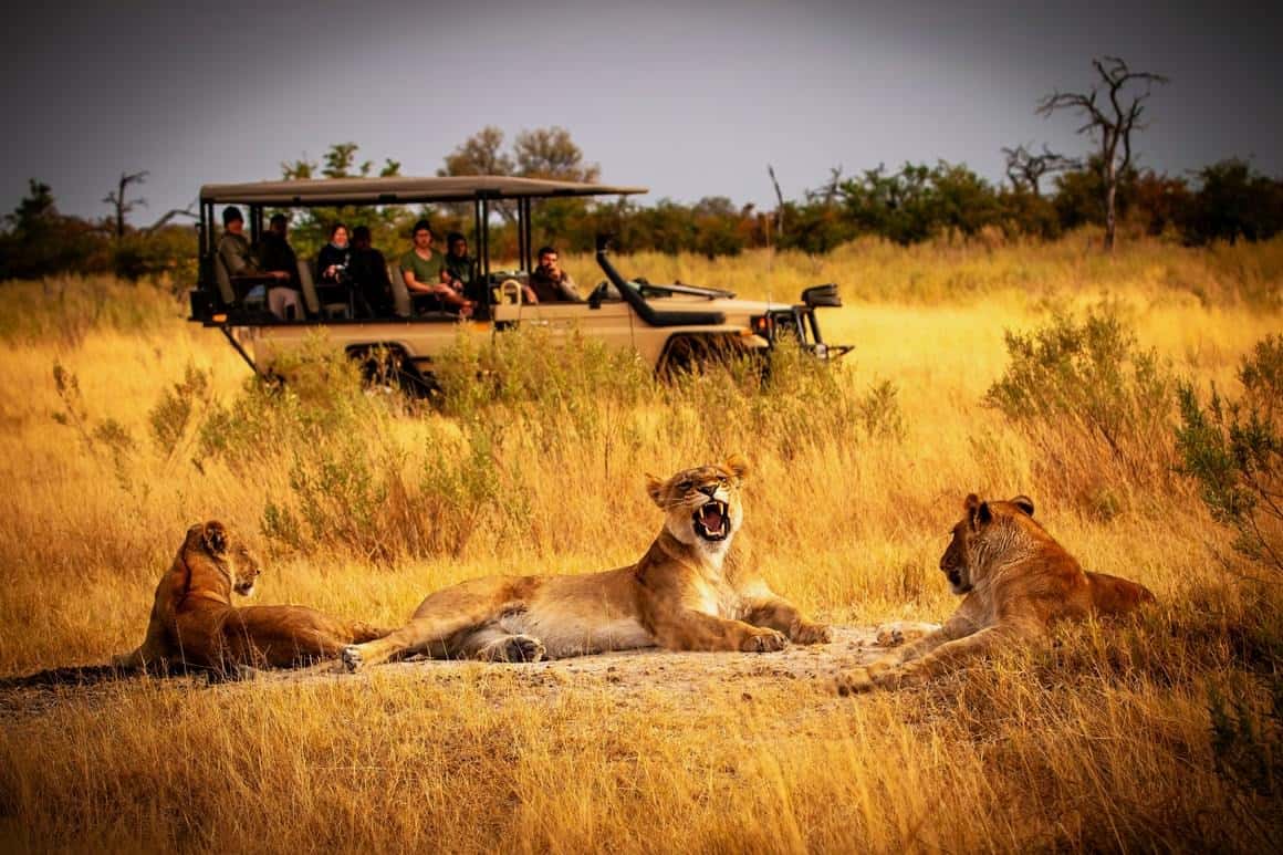 Kenya and Tanzania Safari | Big Five and Beyond