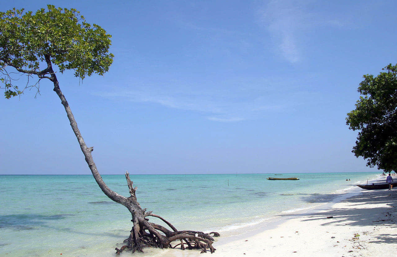 Merk Bay Beach