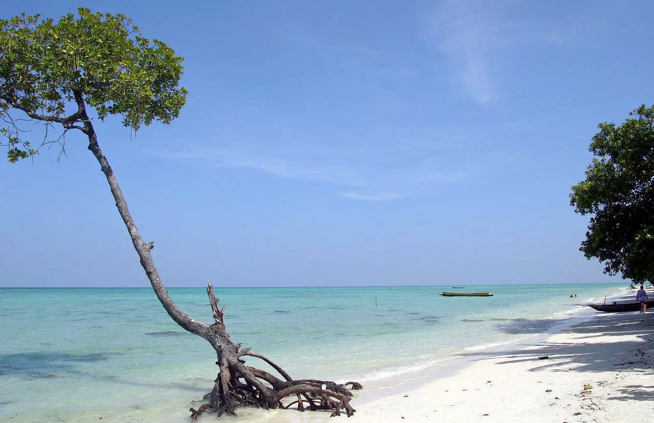 Merk Bay Beach