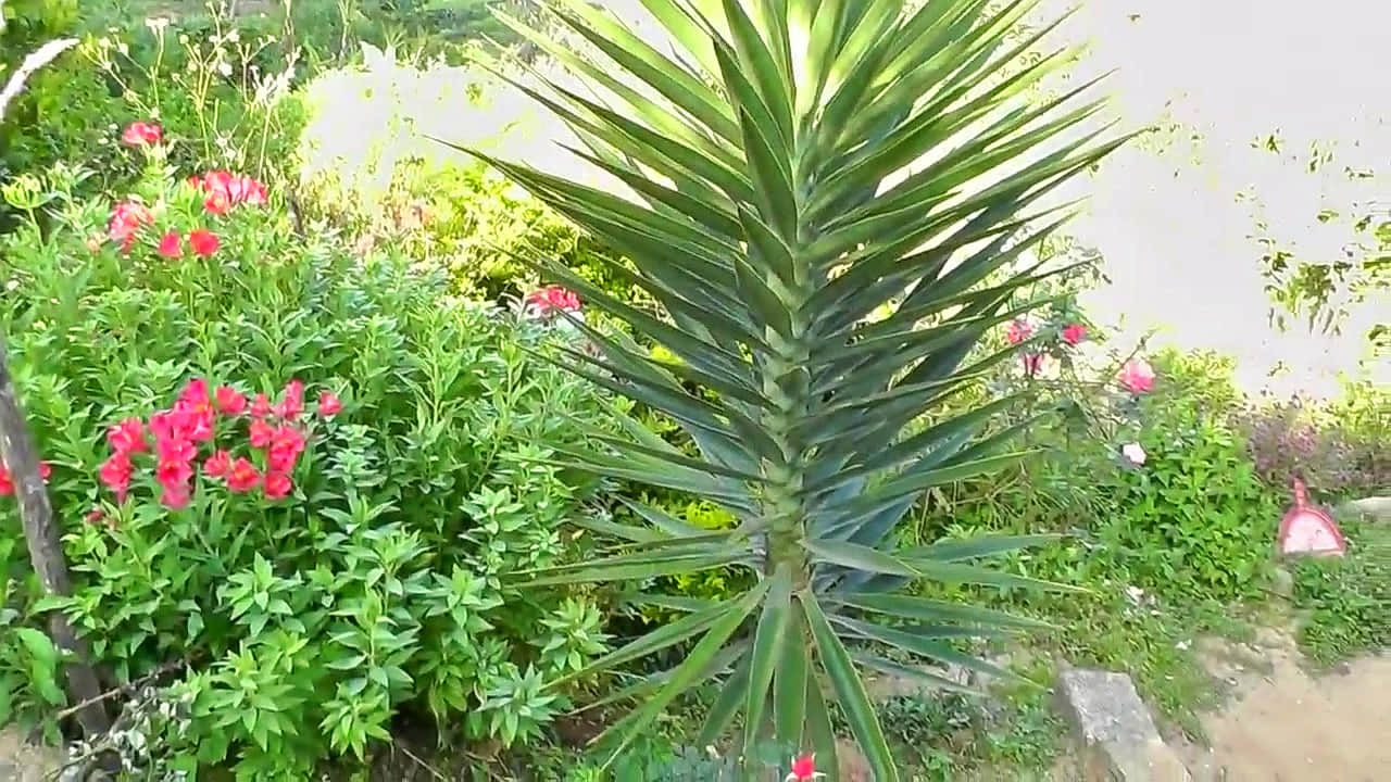 Photo from Sanya Abbott's trip