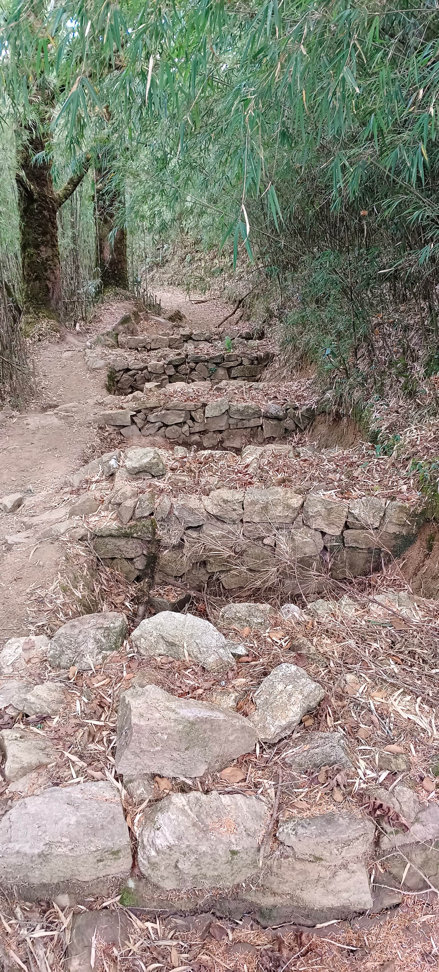 Photo from V Karthik's trip