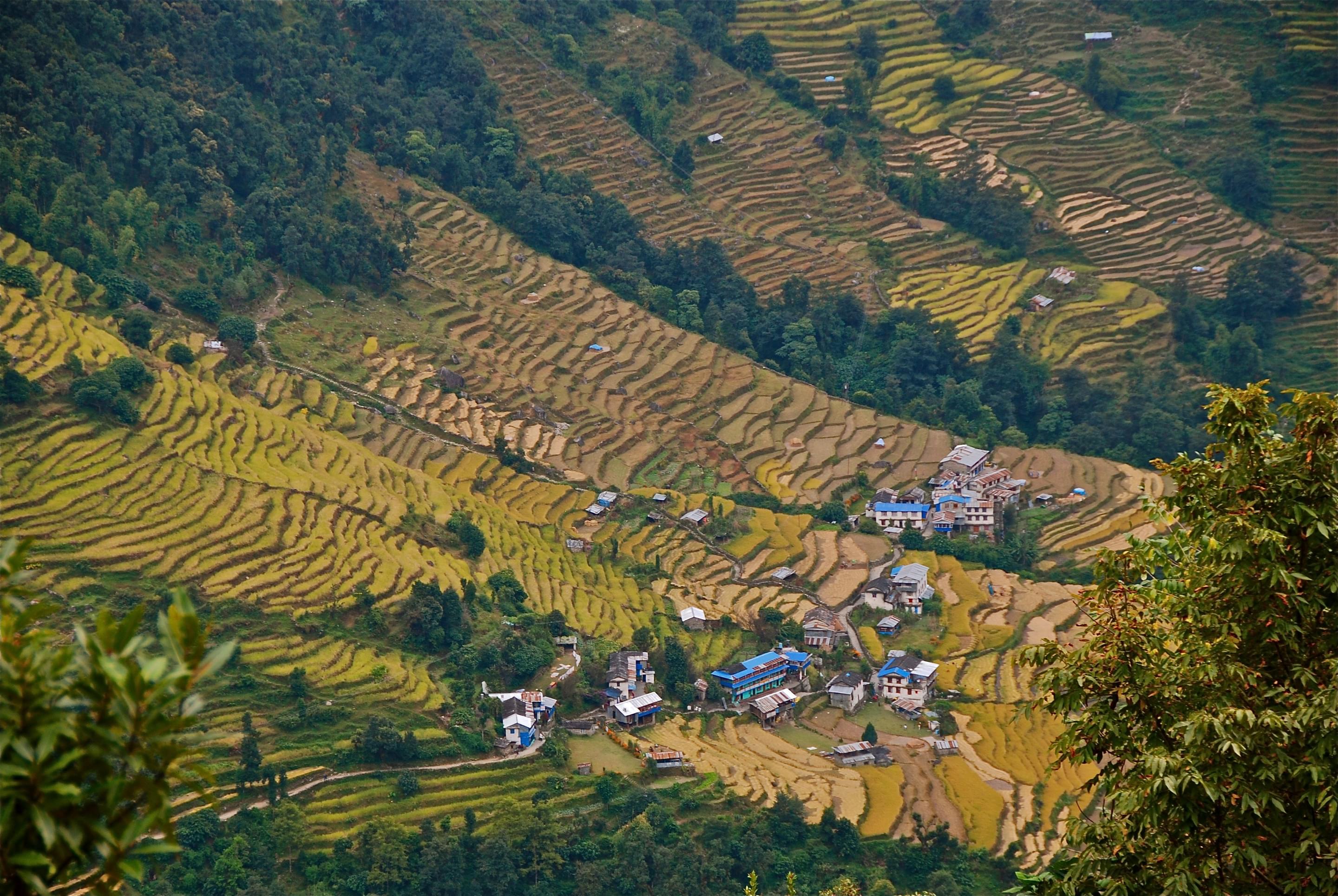 Tikhedhunga Village Overview