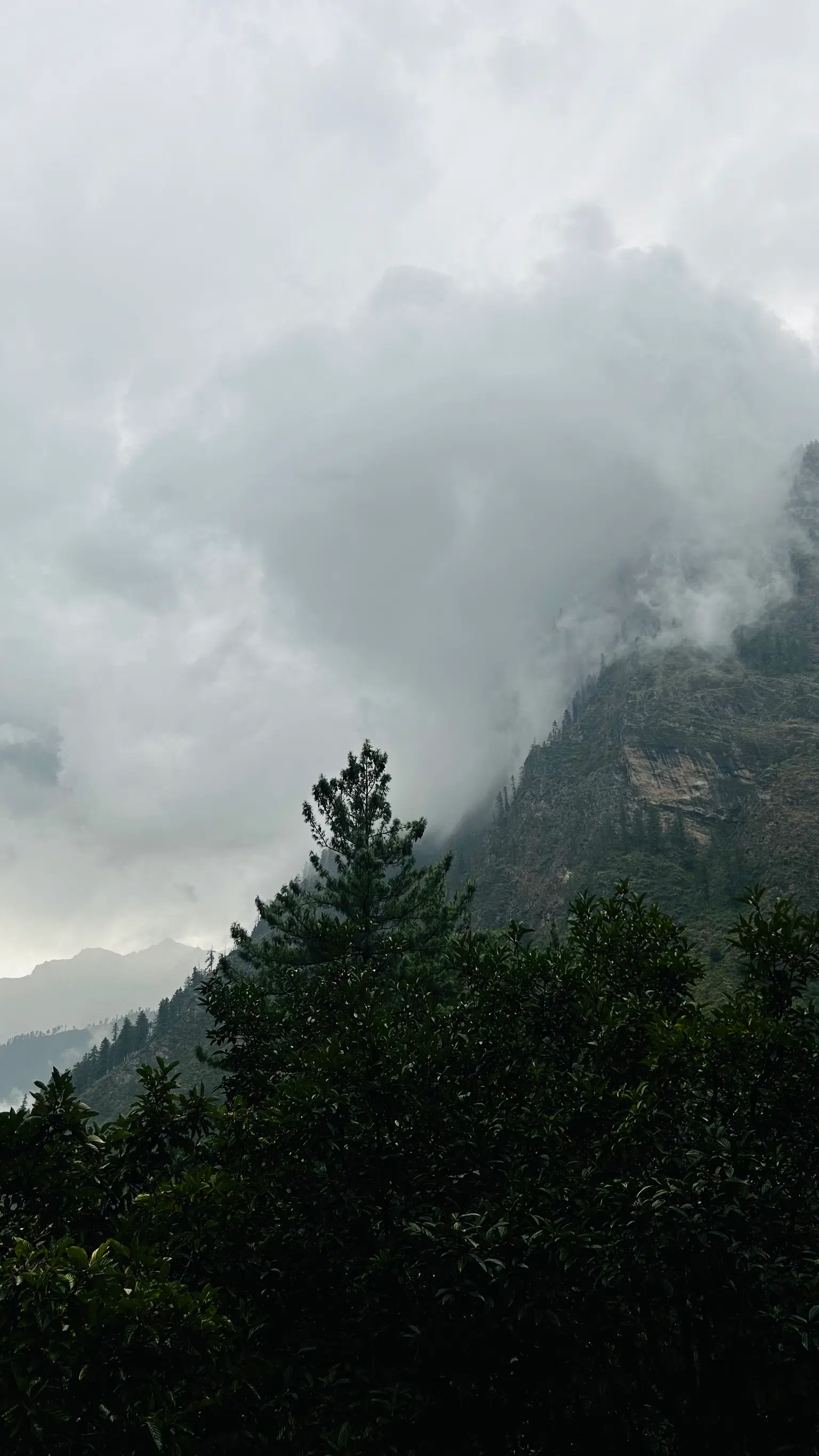 Photo from Prabhleen  Kaur's trip