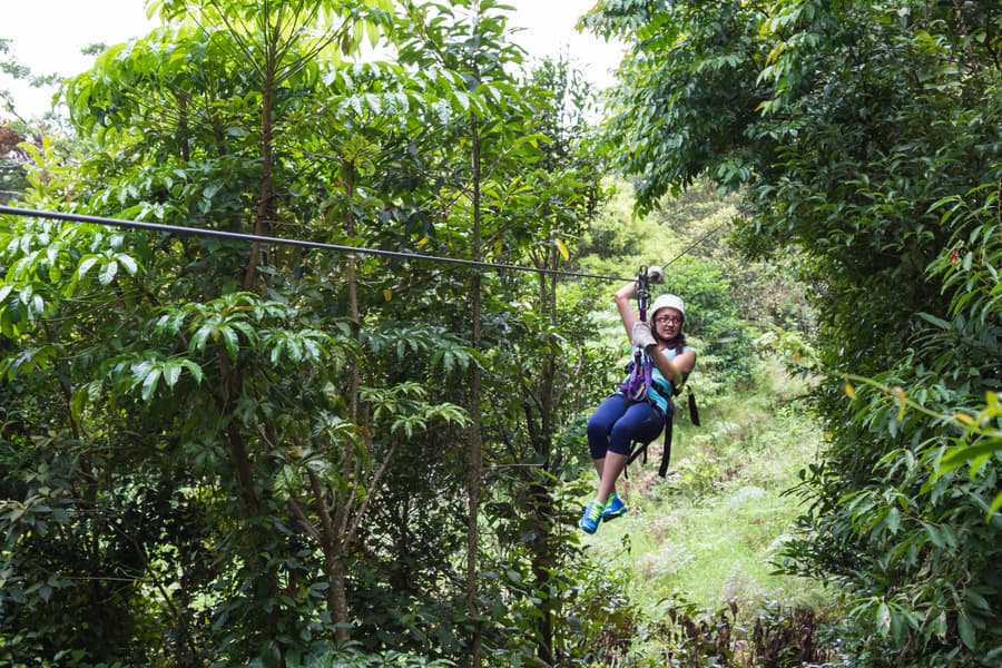 Zip-lining Experience in Coorg Image