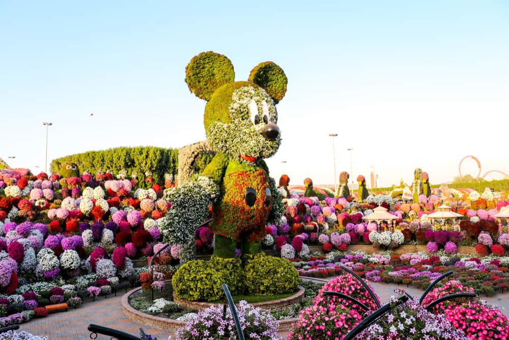 Dubai Miracle Garden