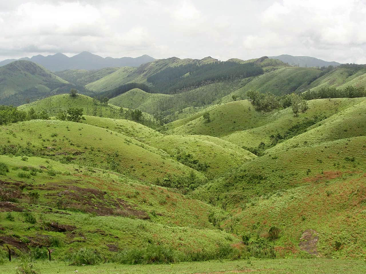 Vandanmedu