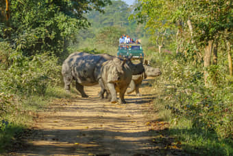 Dooars Tour Package from Kolkata