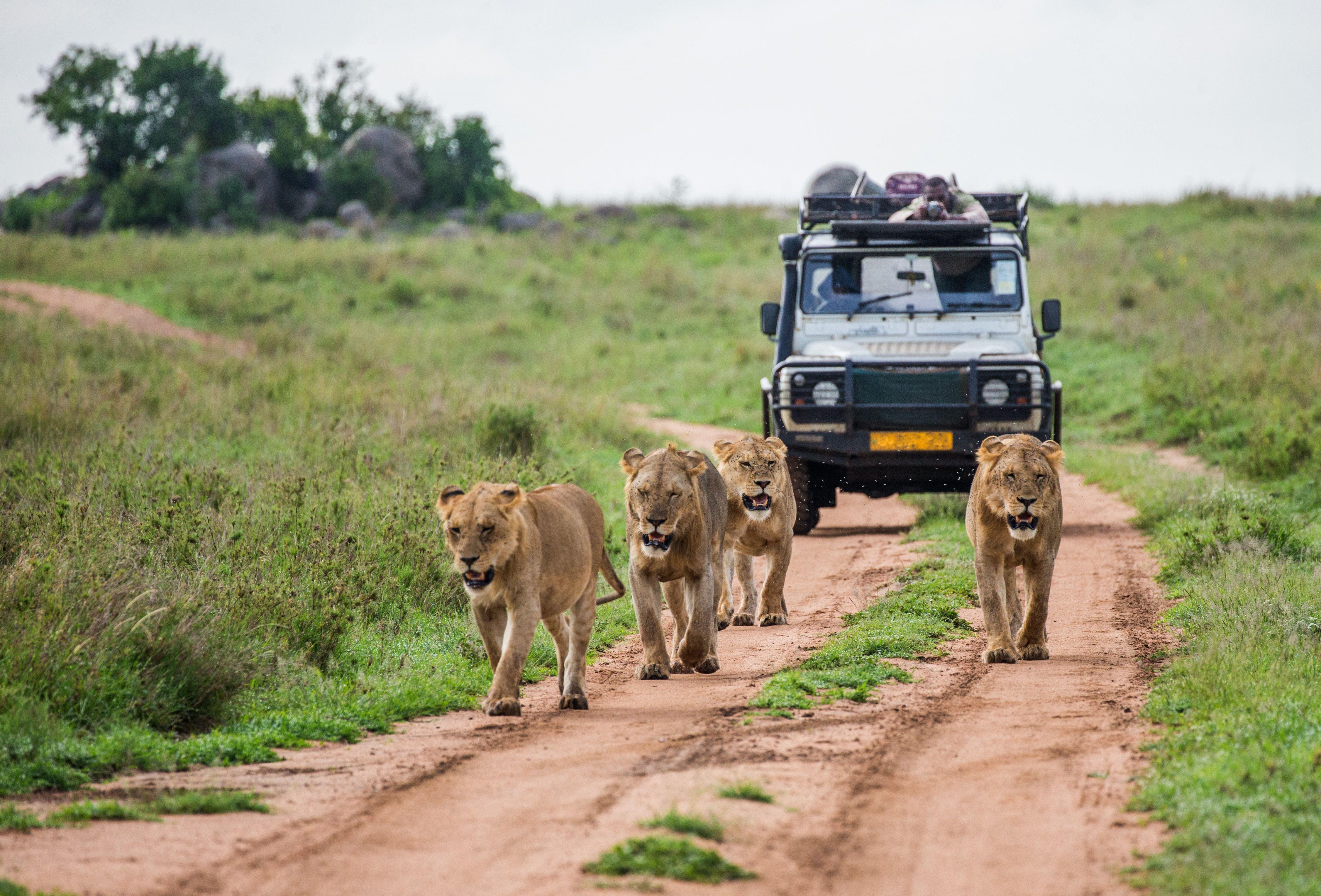 Kenya Visa