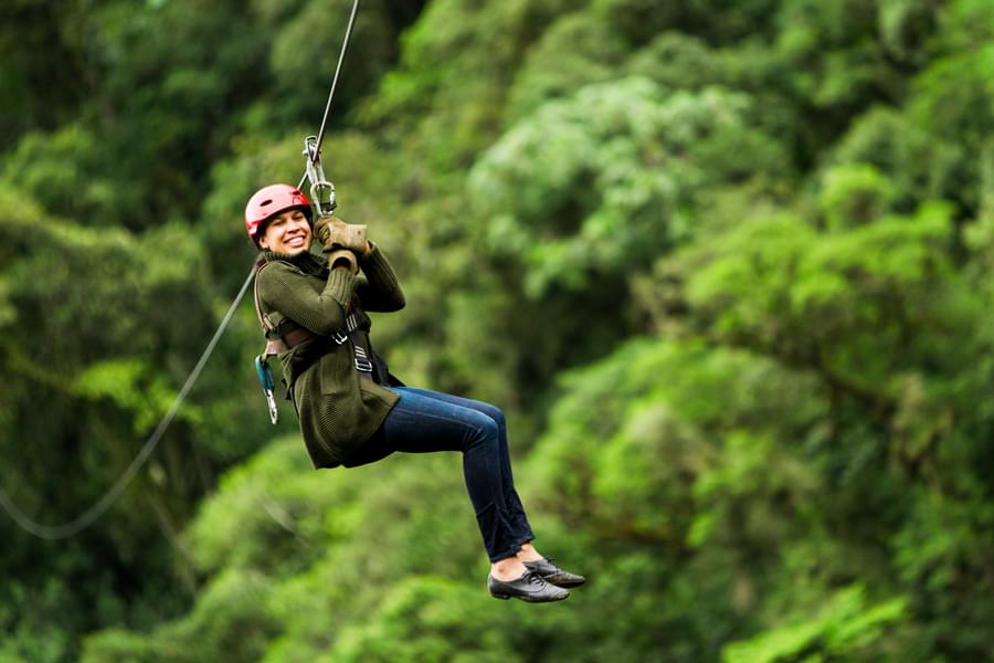 High Rope Adventure Activities with Ziplining Image