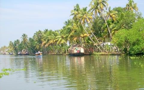 Things to Do in Kuttanad