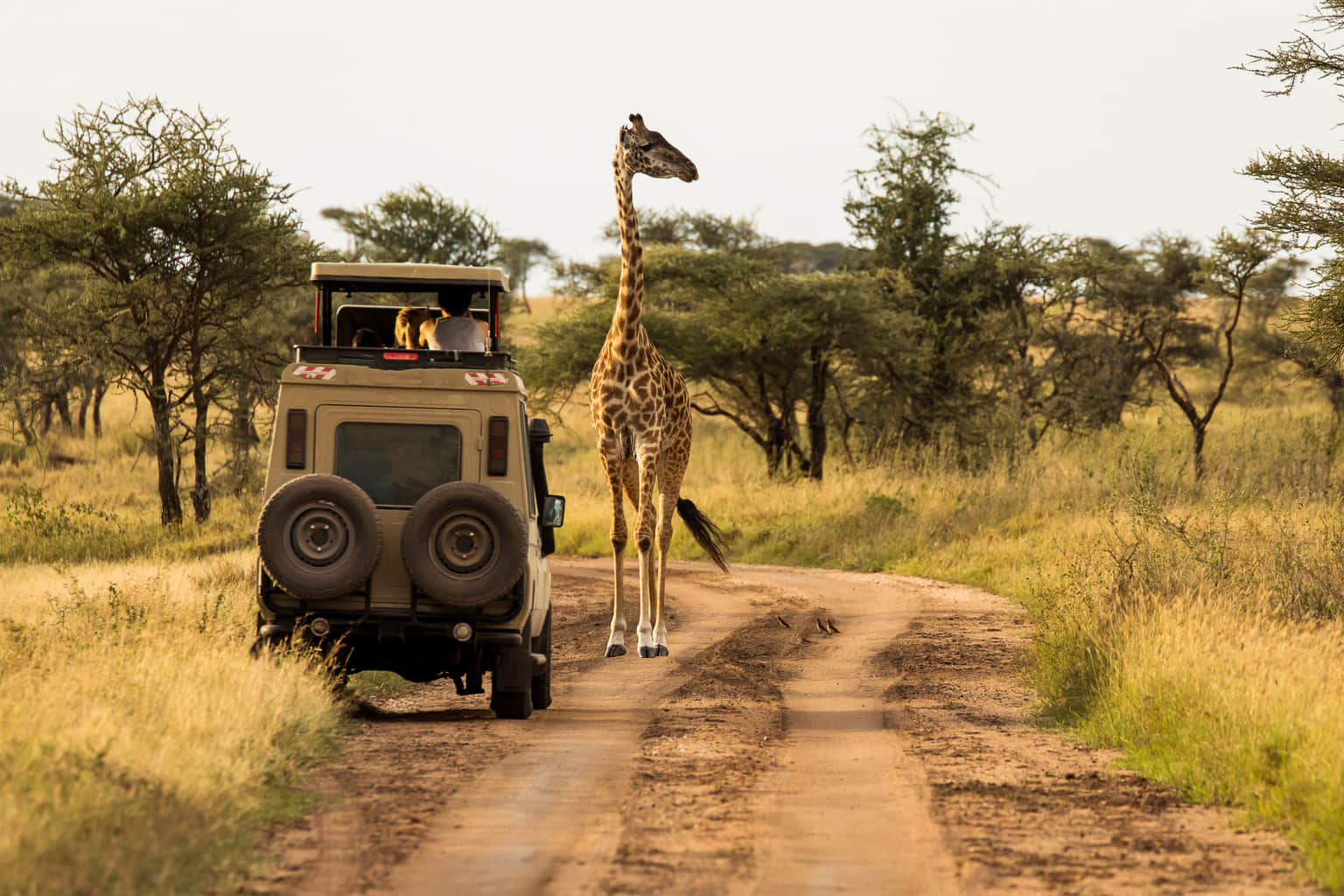 <em>Kenya</em> Tour Packages From Visakhapatnam