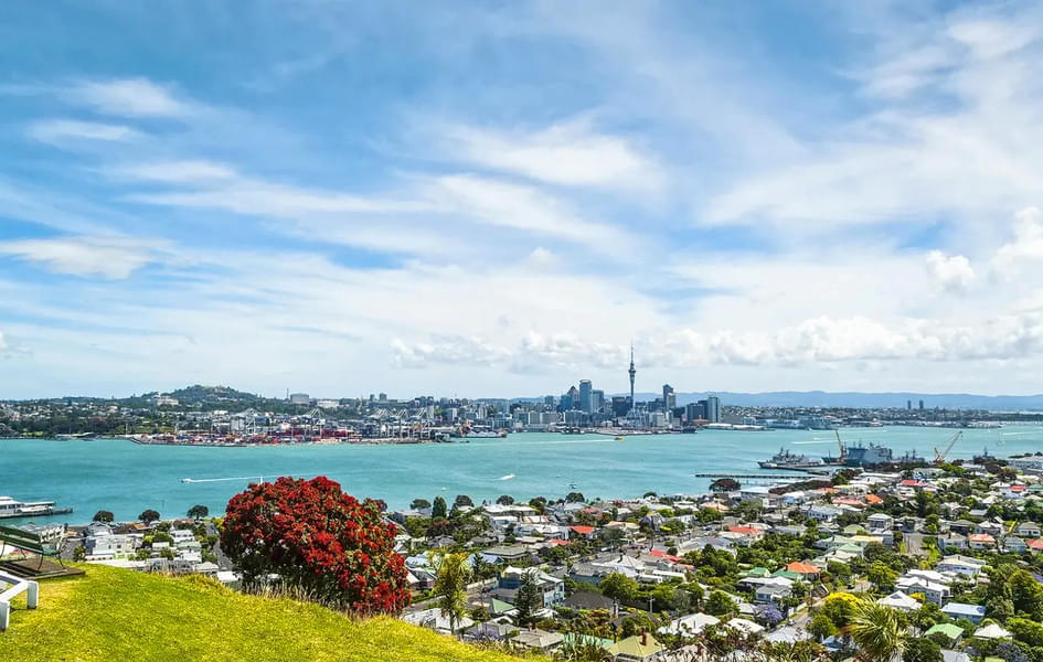 Auckland Harbour Cruise Image