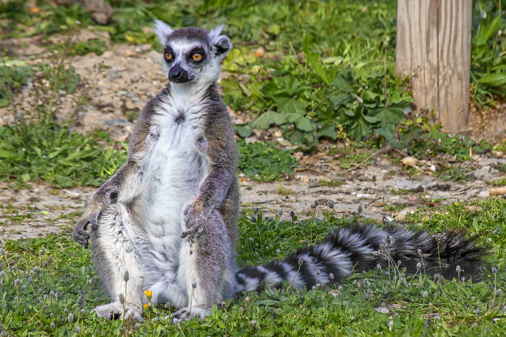 Izmir Wildlife Park, <em>Izmir</em>