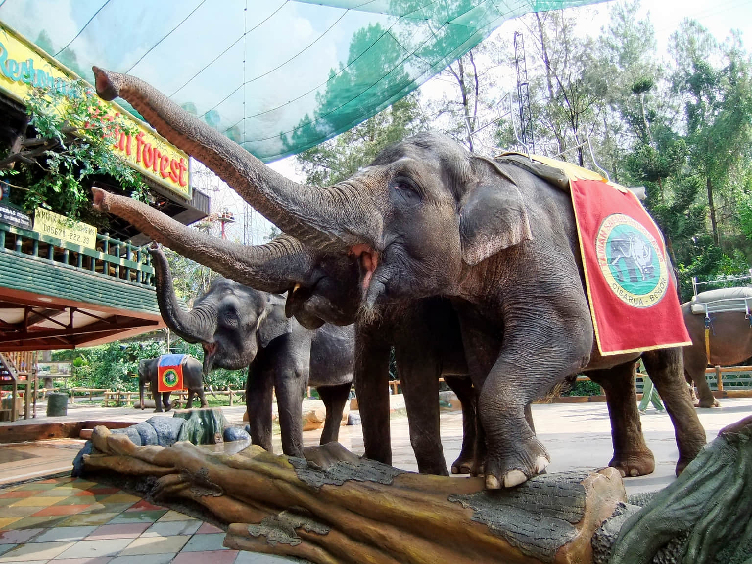 Elephant Safari Park, <em>Bali</em>