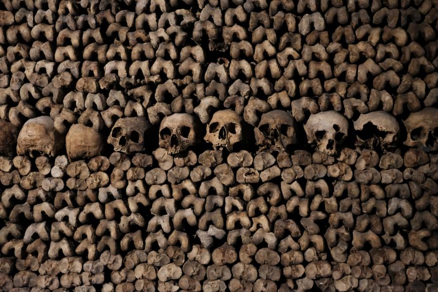 Visit Catacombs of Paris