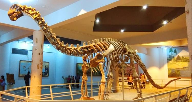 B. M. Birla Science Museum 