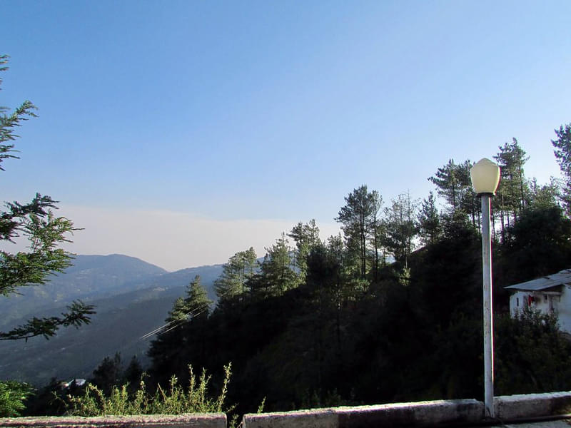 Hilltop Homestay In Shimla Image