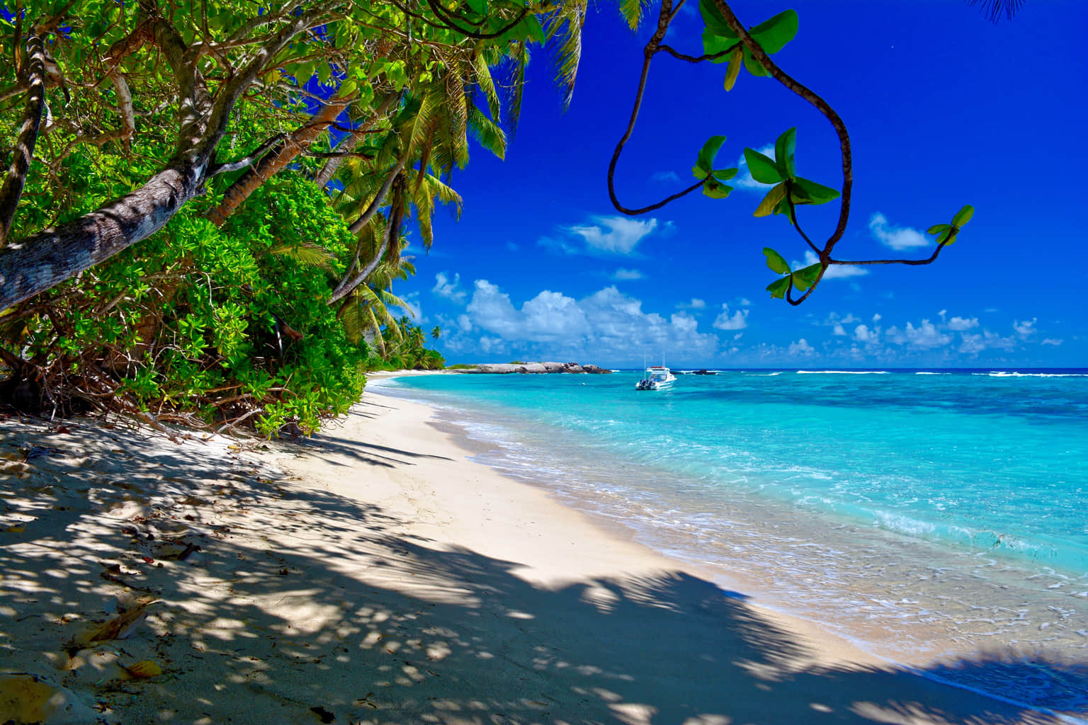 Anse Forbans And Anse Marie Louise, <em>Mahe</em>