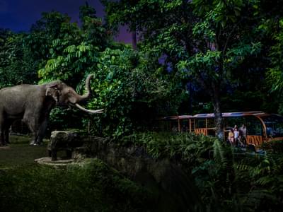2-in-1 Park Hopper: Singapore Night Safari + River Wonders