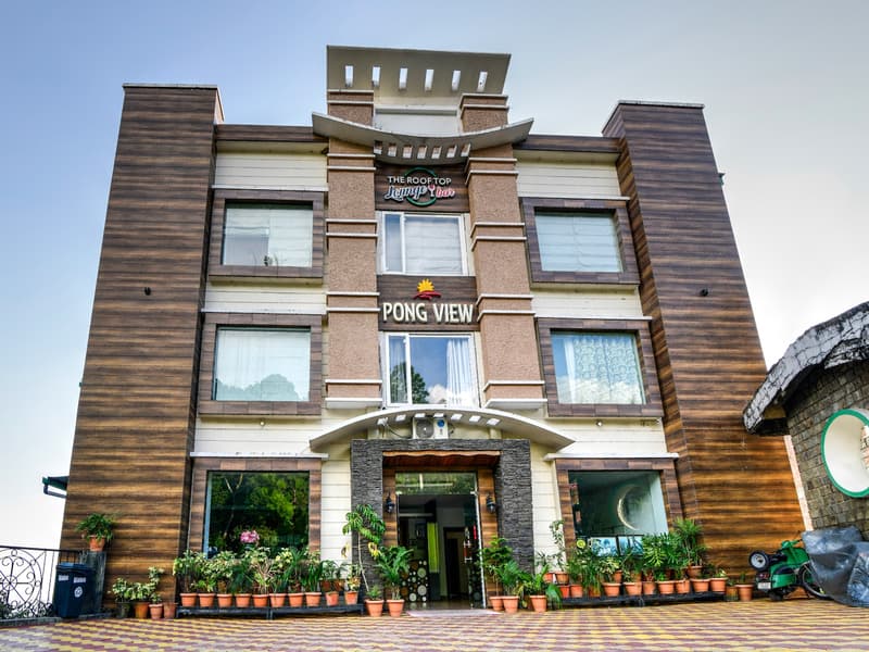 Little Mastiff Dharamshala Image