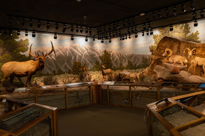 Explore the mysteries of the universe at the planetarium