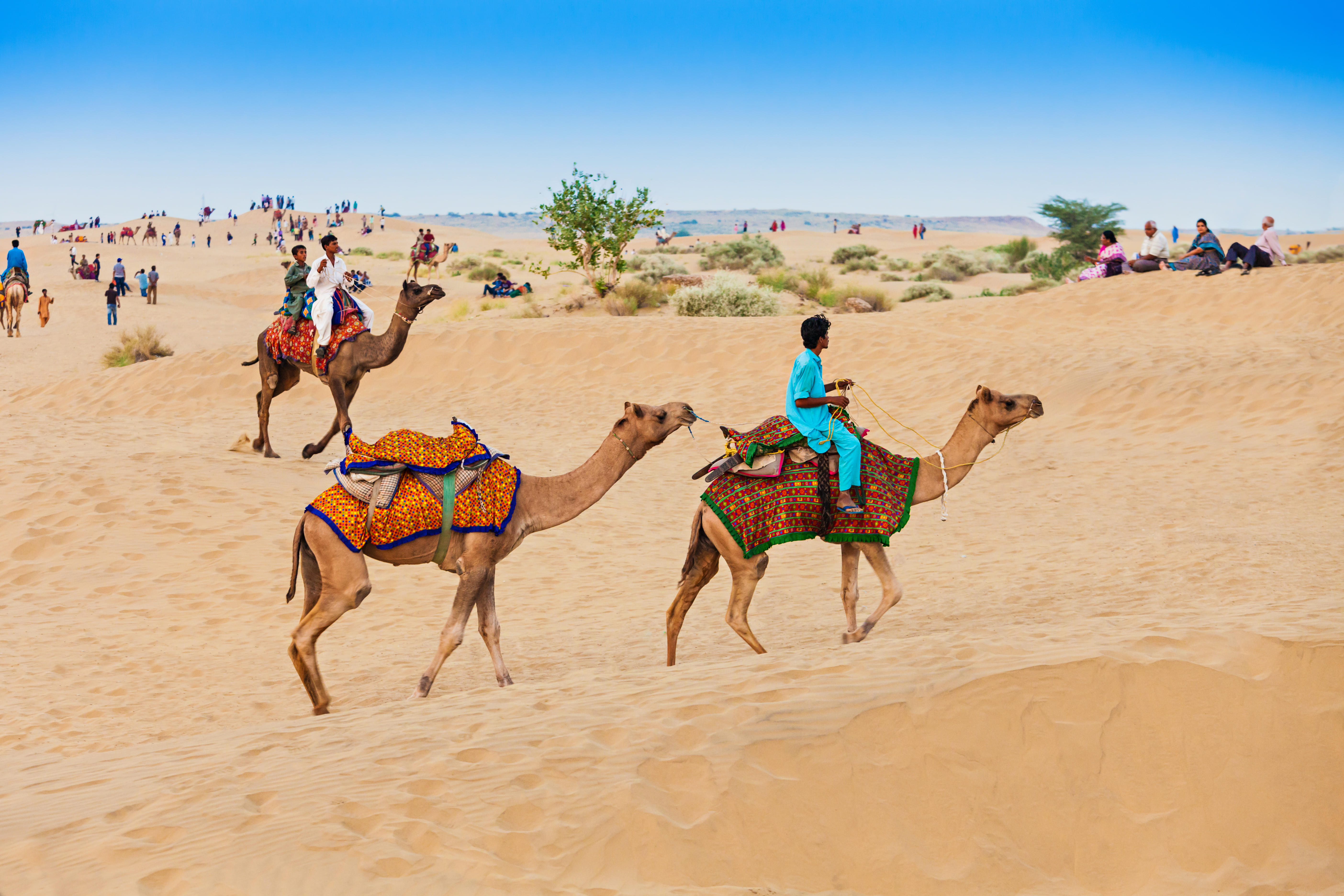 Camel Ride at Jaisalmer