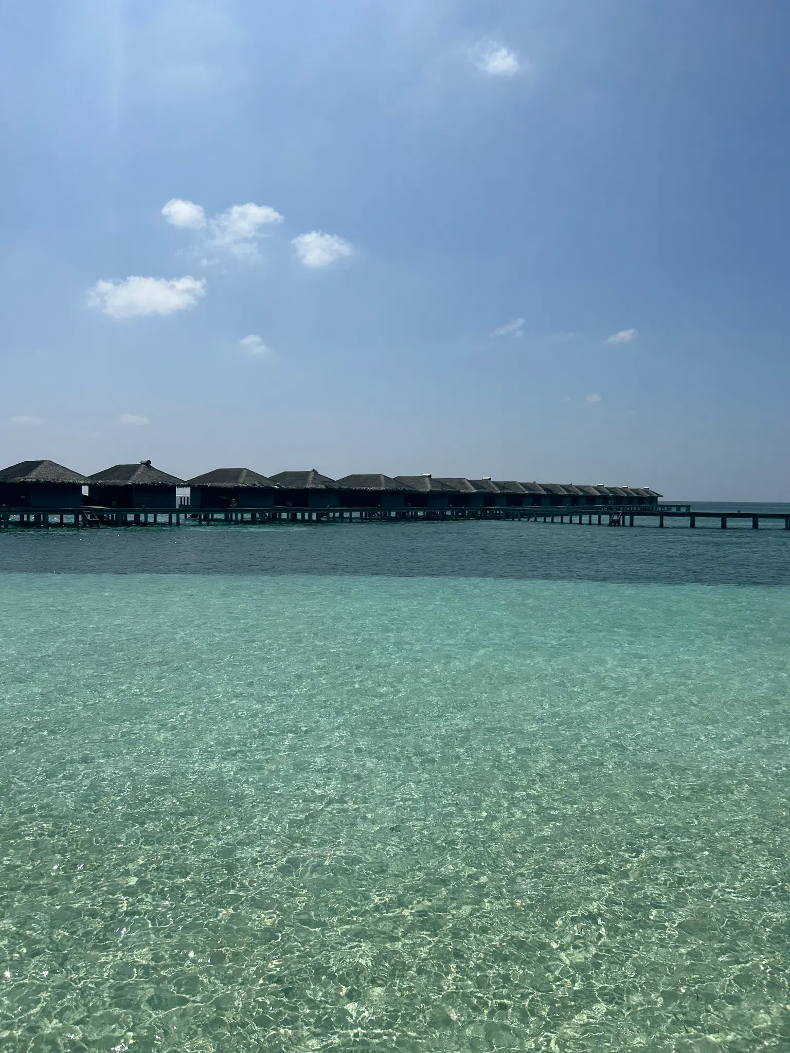 Photo from Surabhi Batra's trip