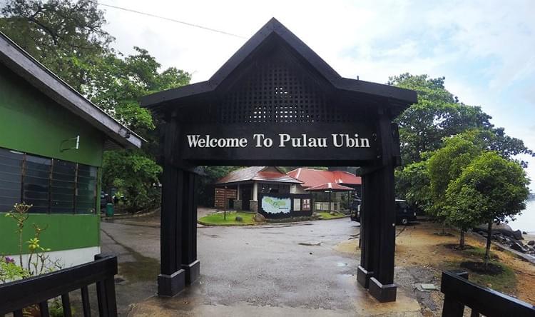 Witness the flora and fauna of Singapore's last village