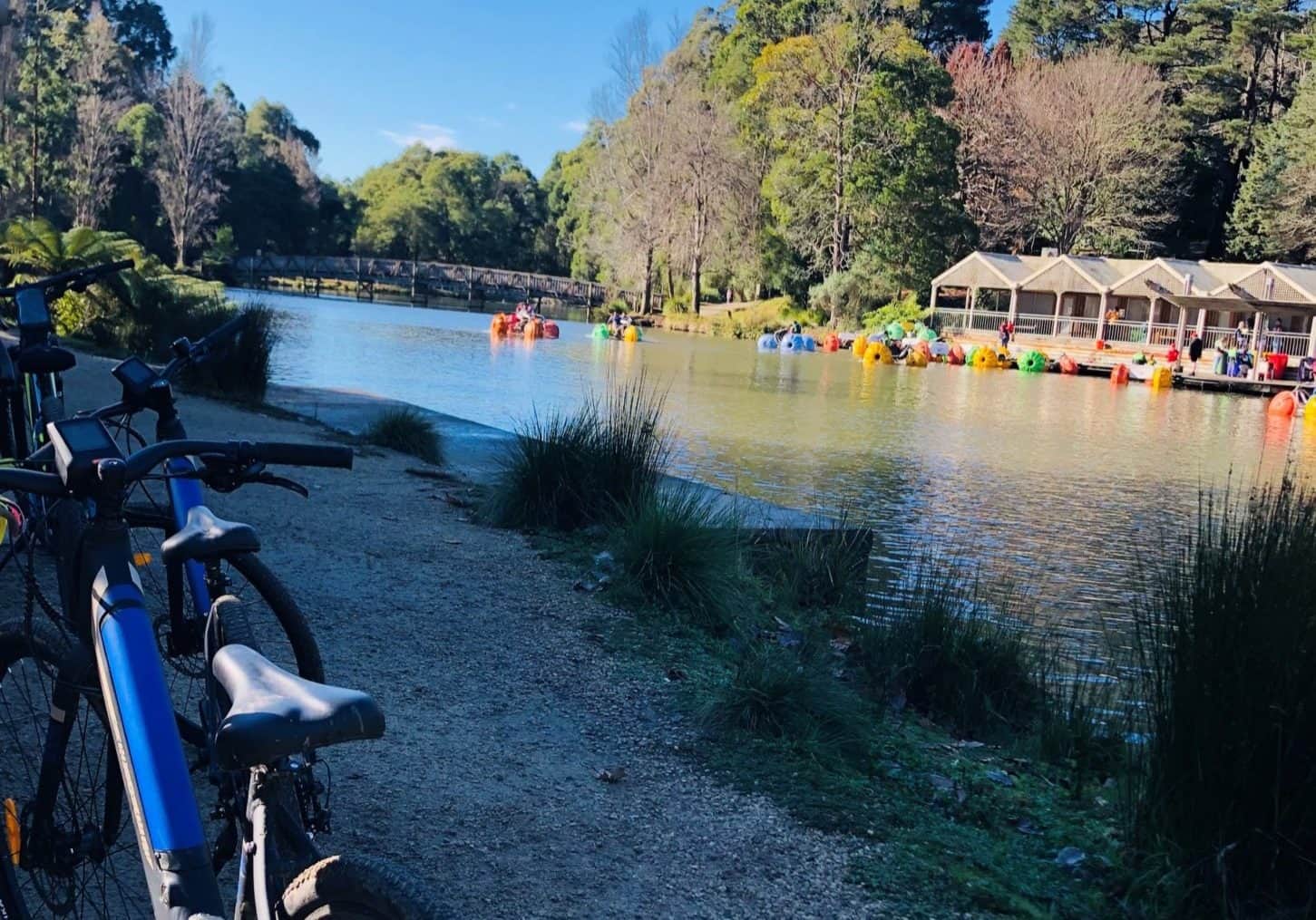 COG Bikes Australia Bike Hire