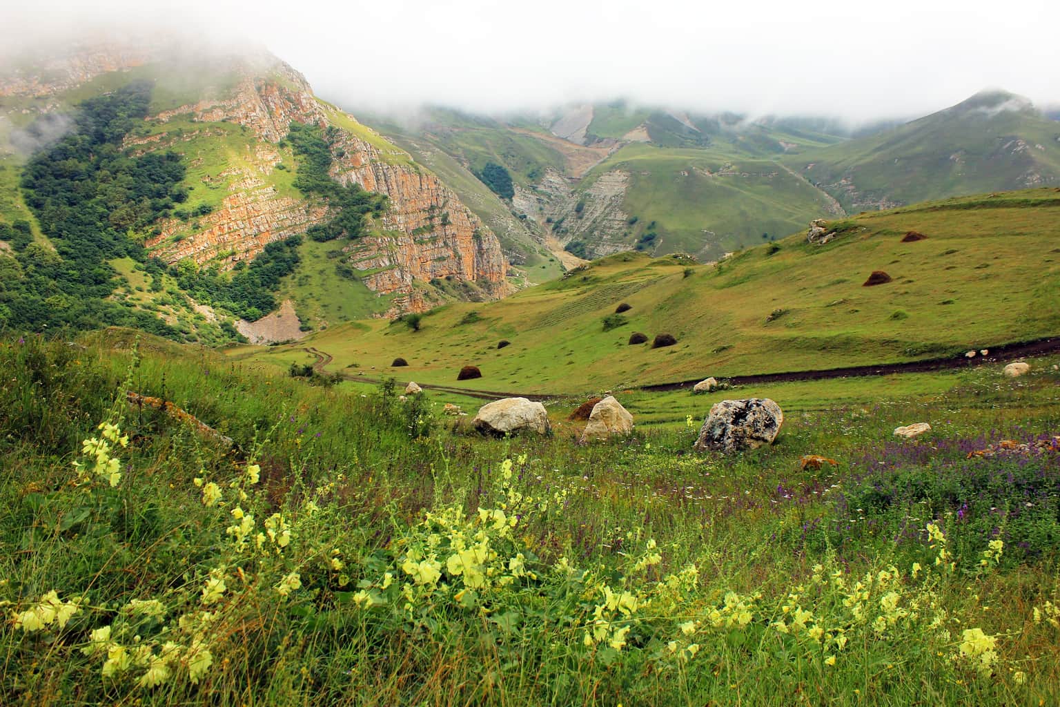 Lush green valley with rocky hillsides in Azerbaijan.