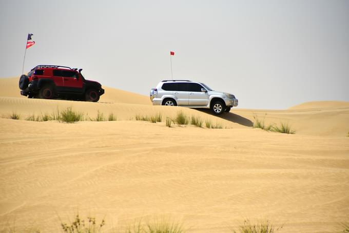 Morning Desert Safari