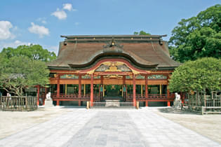 Nyuxdoot8owl5ol0a3ph5o8z6t0x 26 57139