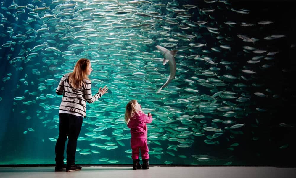 Atlantic Sea Park, <em>Alesund</em>