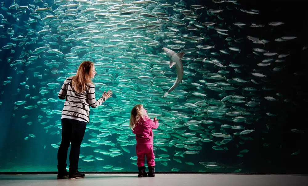 Atlantic Sea Park