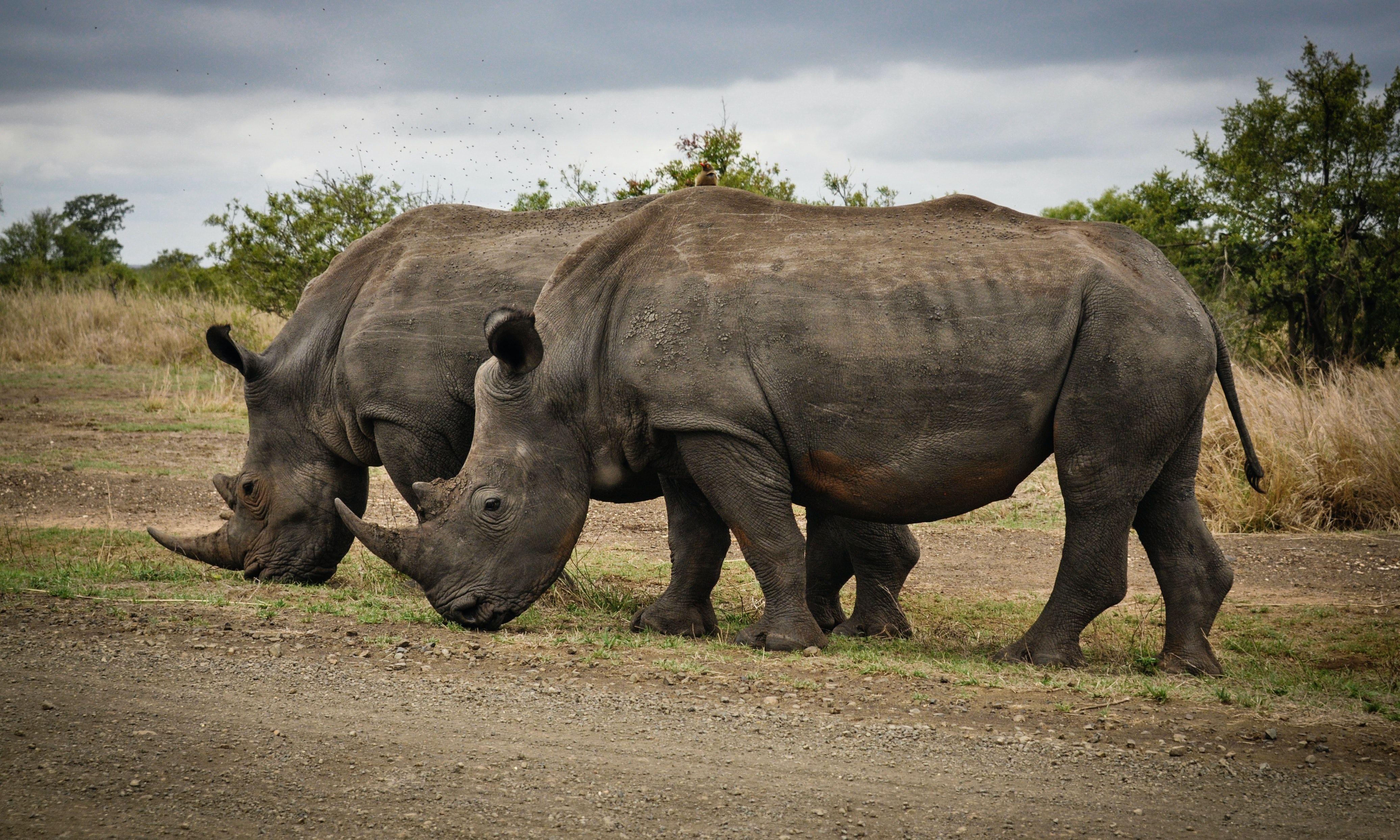 Marakele National Park