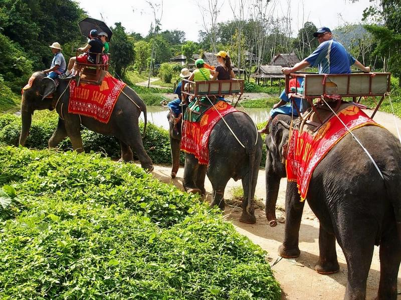 White Water Rafting Phuket With Elephant Ride Image