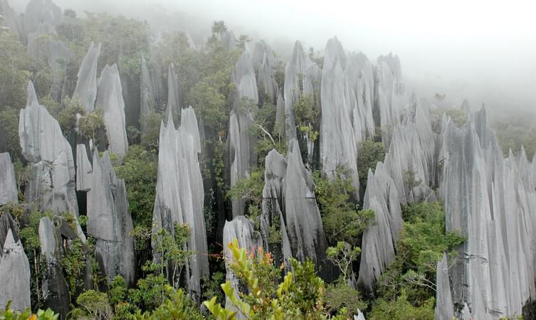 Gunung Mulu National Park, Kota Kinabalu