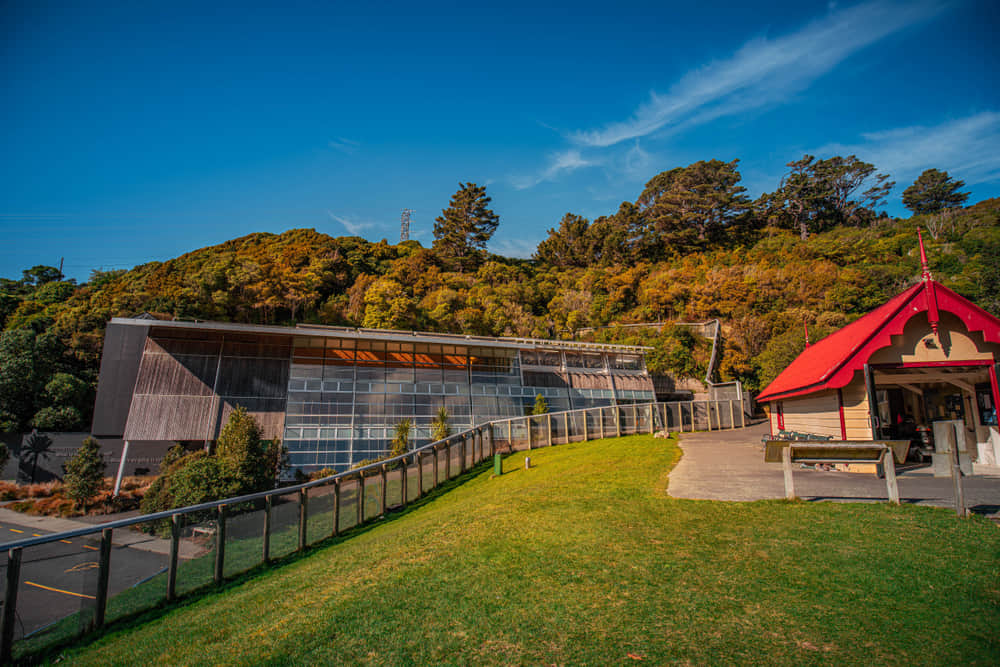 ZEALANDIA Ecosanctuary, <em>Wellington</em>