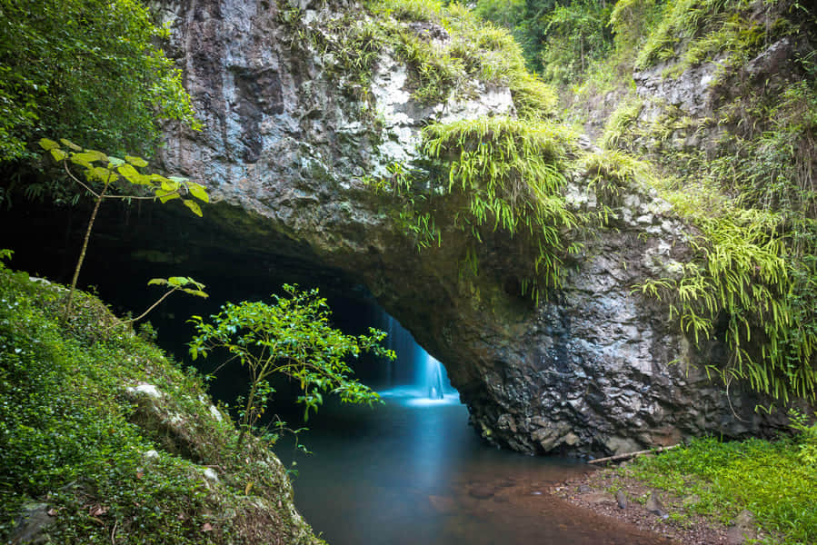 Natural Bridge, <em>Gold Coast</em>